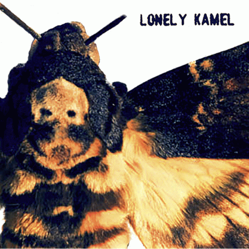 Lonely Kamel : Death's-Head Hawkmoth